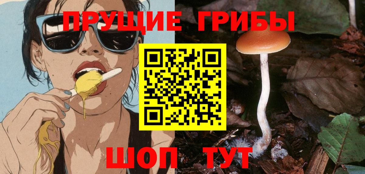 Галлюциногенные грибы прущие грибы Гусиноозёрск