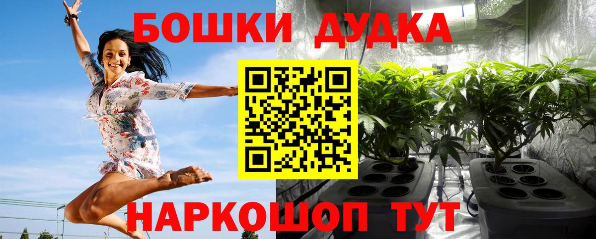 Канабис Amnesia Гусиноозёрск